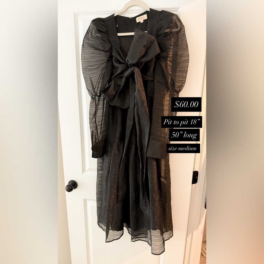 Elegant Black Sheer Dress